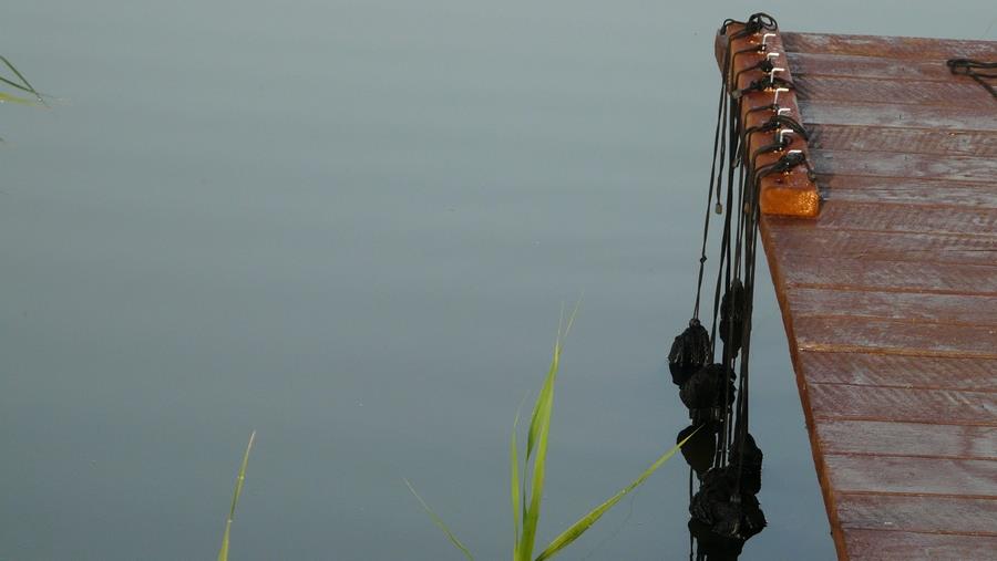 Bila 2 12 - 14 mai 2017 - 4.jpg